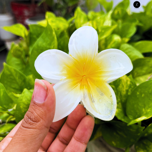 Floral Resin Hair Clips for Women & Girls – Pack of 6 | Stylish & Durable Hair Accessories